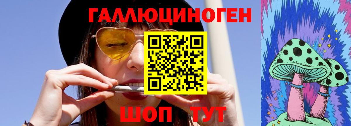 Галлюциногенные грибы Psilocybine cubensis Губаха